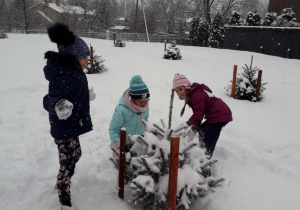 dzieci obserwują płatki śniegu