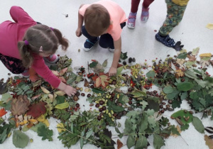 dwoje dzieci segreguje dary jesieni zanosząc je na stoliczki