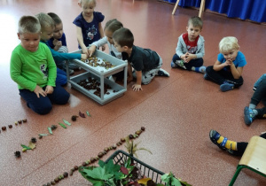 Dzieci układają jesienne rytmy z wykorzystaniem darów natury: liści, żołędzi i kasztanów.