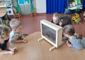 Dzieci oglądają pracę pszczół w szklanym ulu.