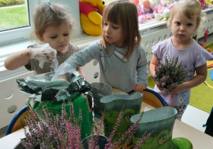 Dzieci sadzą kwiaty w kaloszach