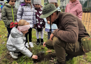 Przedszkolaki sadzą drzewo
