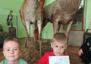 Chłopcy prezentują rysunki wilgi