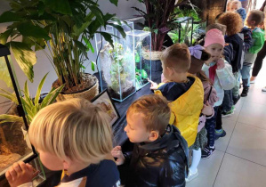 Dzieci oglądają wystawę pająków i owadów