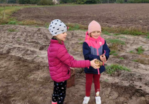 Dwie dziewczynki pokazują znalezione bulwy ziemniaka.