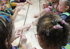 Dzieci dotykają ziarenka.