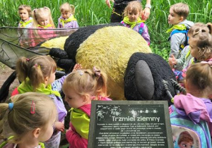 Przedszkolaki słuchają informacji na temat trzmiela ziemnego