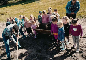 Wiewiórki na polu.