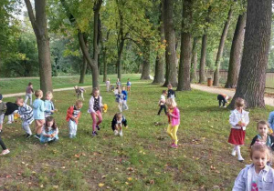 Szukamy liści i owadów