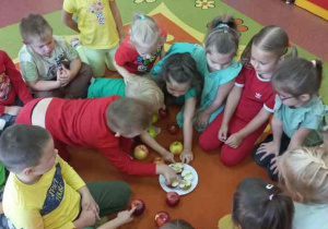 Dzieci poznają budowę jabłka.