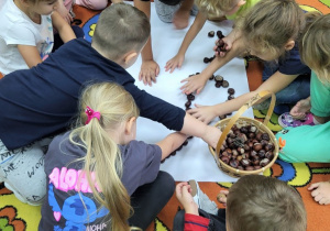 Przedszkolaki uczą się współpracy w grupie wykonując powierzone im zadanie.