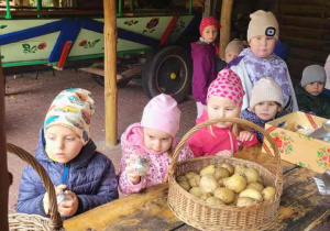 Motylki zawijają ziemniaki w folię do pieczenia.