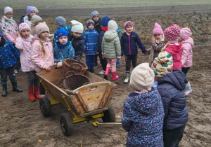 Dzieci na polu.