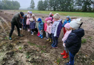 Dzieci poznają zasady kopania ziemniaków.