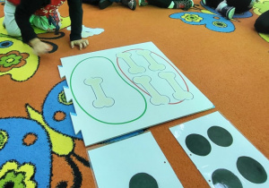 Motylki przeliczają kości.