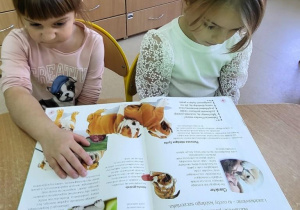 Motylki oglądają ilustracje piesków.