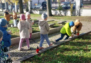 Żabki zapalają znicze przy grobach żołnierzy.
