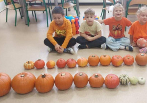 Dzieci układały dynie według wielkości.