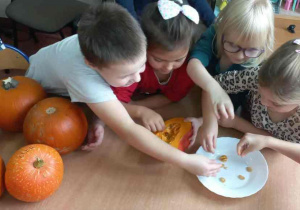 Dzieci wyciągają pestki dyni.