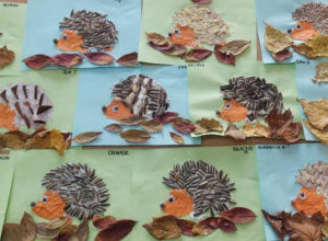 Dzień Jeża w Żabkach i Motylkach