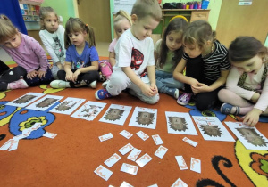 Chłopiec przelicza i karmi jeże.