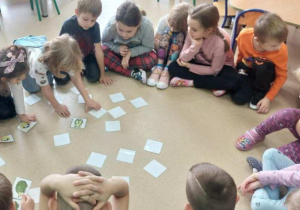 Żabki grają w Jeżowe memory.