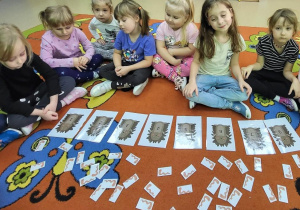 Dziewczynka przelicza i karmi jeże.