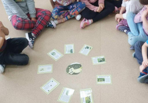 Dzieci poznają ciekawostki o jeżach.