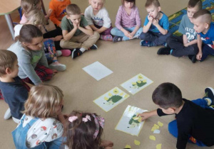 Przedszkolaki układają odpowiednią ilość liści na jeżach.