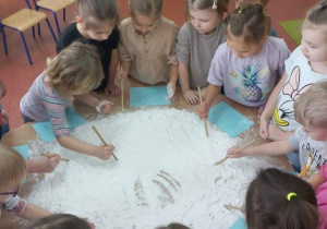 Wiewiórki rysują kształty literopodobne na mące