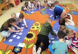 Motylki układają gwiazdki