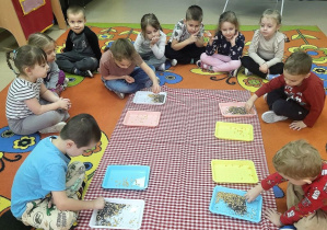 Motylki oddzielają ziarna popcornu