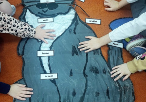 Dzieci poznają budowę kota.