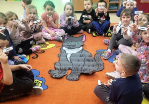 Motylki omawiają budowę i wygląd kota.