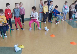 Żabki sterują robotem przy użyciu tabletów.