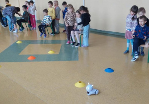 Żabki sterują robotem przy użyciu tabletów.