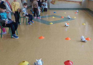 Żabki sterują robotem przy użyciu tabletów.