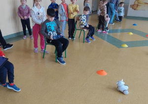 Żabki sterują robotem przy użyciu tabletów.