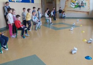 Żabki sterują robotem przy użyciu tabletów.