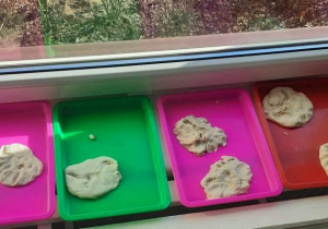 Odcisk dinozaura w masie solnej.