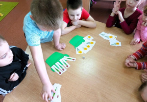 Chłopiec układa kwiaty w doniczce zgodnie z wyrzuconą liczbą