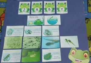 Dzieci poznają cykl rozwoju żaby