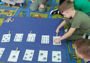 Chłopiec przelicza muchy i spinaczem zaznacza odpowiednią cyfrę