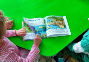 Dzieci poszukują informacji o żabkach w wybranych książeczkach