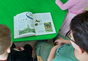 Chłopcy poszukują informacji o żabkach w wybranych książeczkach