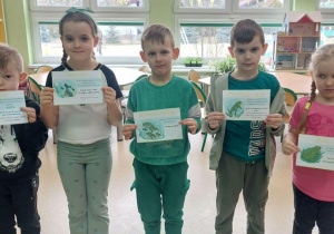 Przedszkolaki prezentują w odpowiedniej kolejnoścu cykl rozwoju żaby