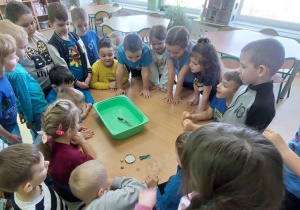 Co pływa, a co tonie-eksperyment