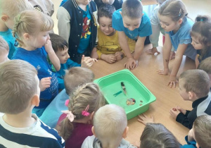 Co pływa,a co tonie-eksperyment