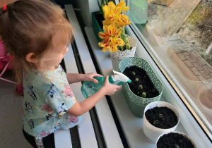 Dziewczynka podlewa kwiatki i zasadzone cebulki.