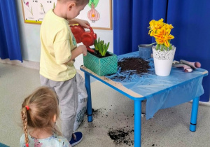 Chłopiec podlewa wsadzone rośliny.